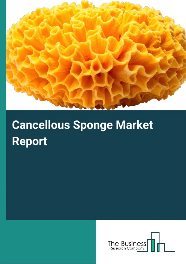 Global Cancellous Sponge Market Report 2026