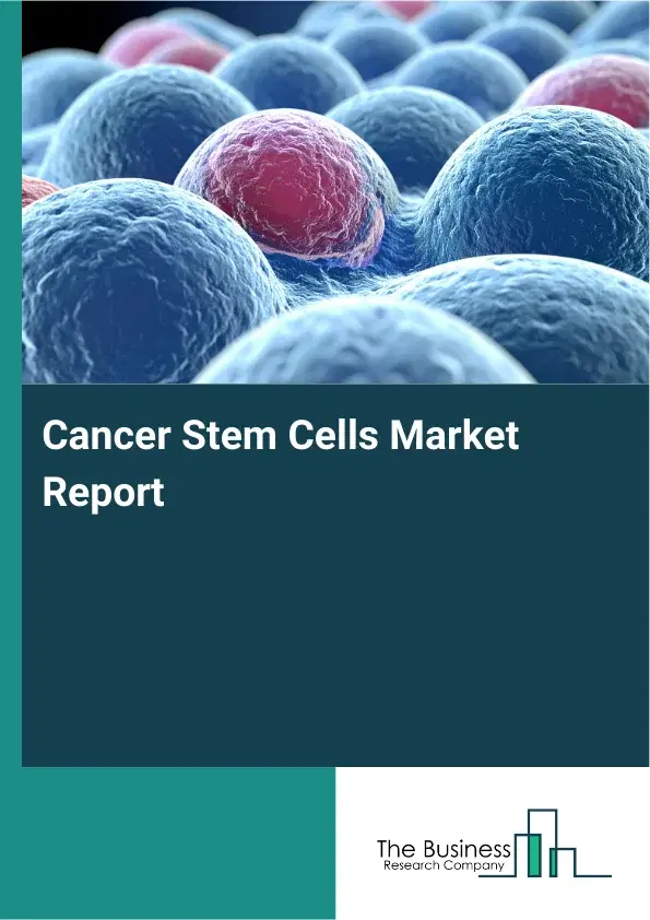 Global Cancer Stem Cells Market Report 2026