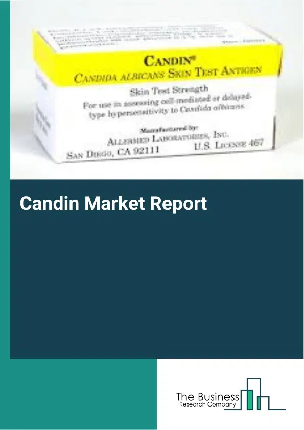 Global Candin Market Report 2026