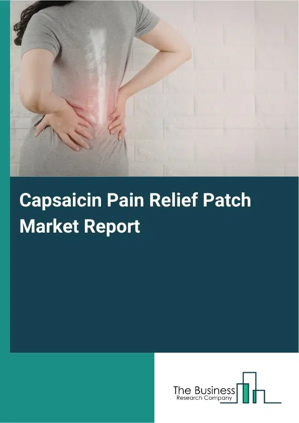 Global Capsaicin Pain Relief Patch Market Report 2026
