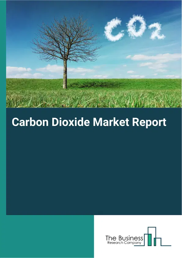 Global Carbon Dioxide Market Report 2026