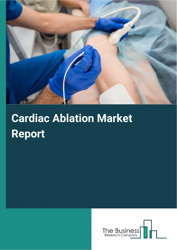 Global Cardiac Ablation Market Report 2026