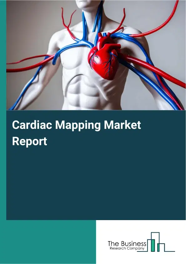 Global Cardiac Mapping Market Report 2026