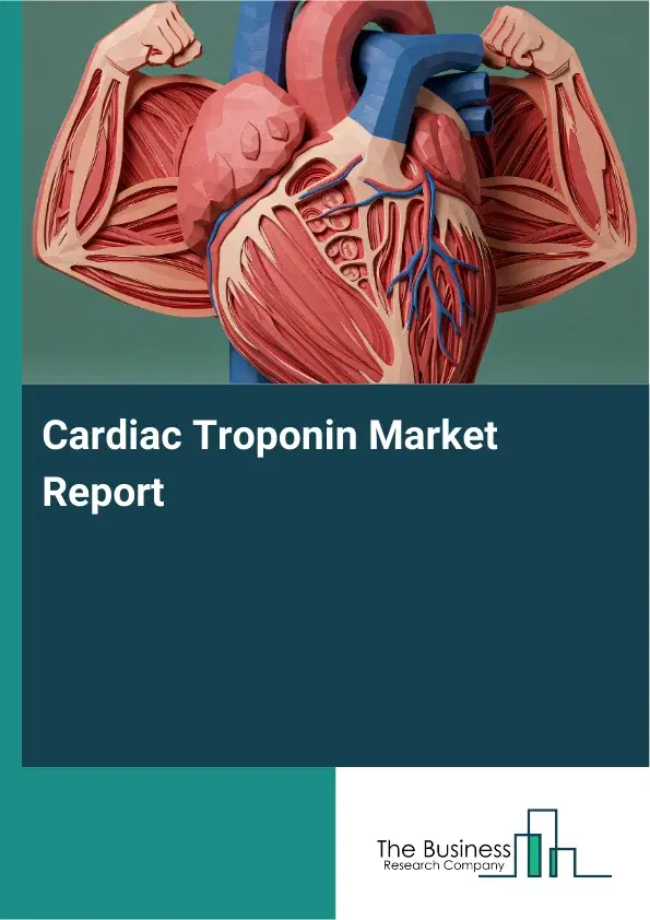 Global Cardiac Troponin Market Report 2026