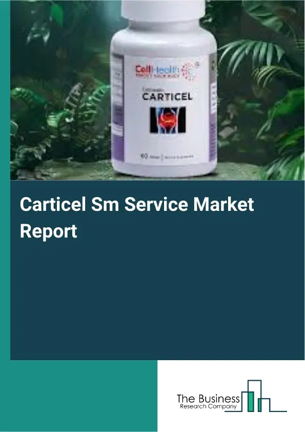 Global Carticel Sm Service Market Report 2026