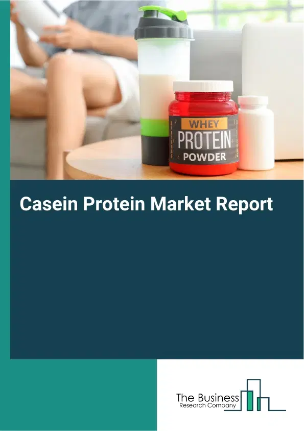 Global Casein Protein Market Report 2026