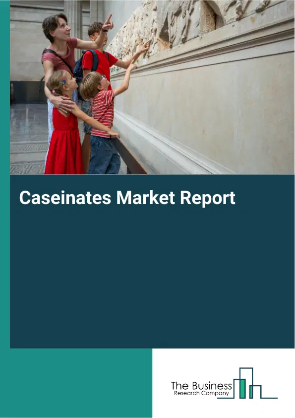 Global Caseinates Market Report 2026