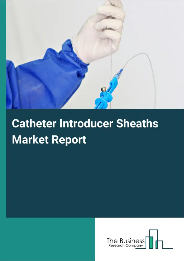 Global Catheter Introducer Sheaths Market Report 2026