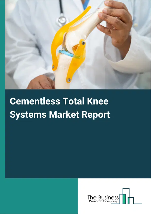Global Cementless Total Knee Systems Market Report 2026