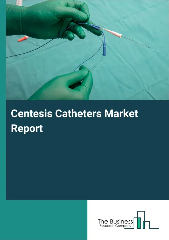 Global Centesis Catheters Market Report 2026