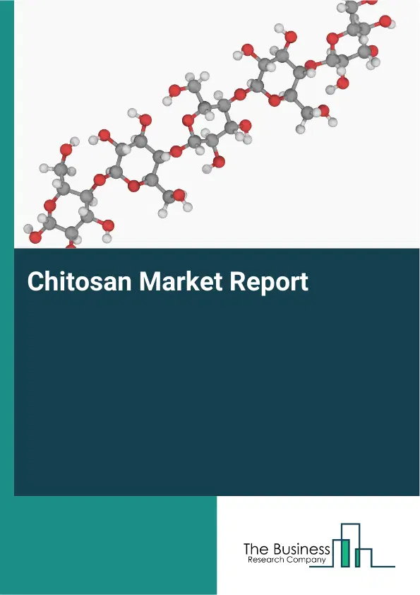 Global Chitosan Market Report 2026