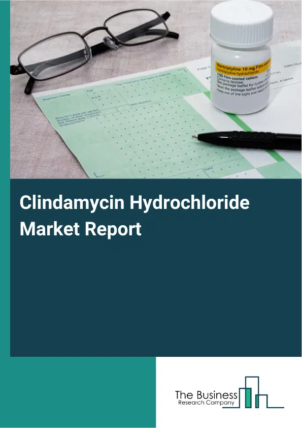 Global Clindamycin Hydrochloride Market Report 2026