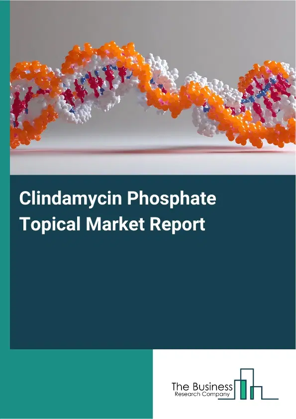 Global Clindamycin Phosphate Topical Market Report 2026