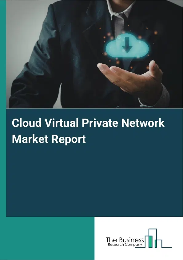 Global Cloud Virtual Private Network Market Report 2026