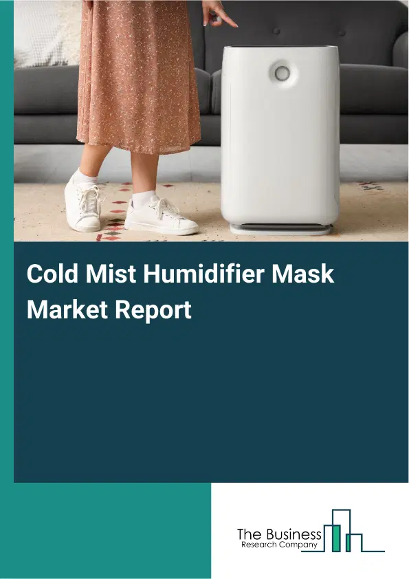 Global Cold Mist Humidifier Mask Market Report 2026