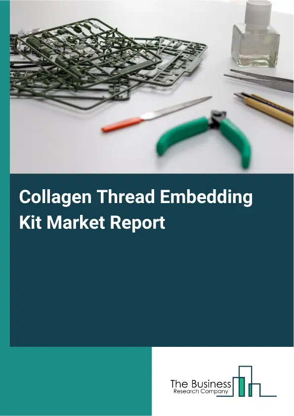 Global Collagen Thread Embedding Kit Market Report 2026