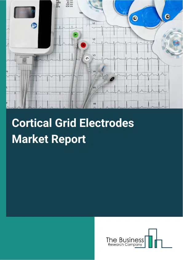 Global Cortical Grid Electrodes Market Report 2026