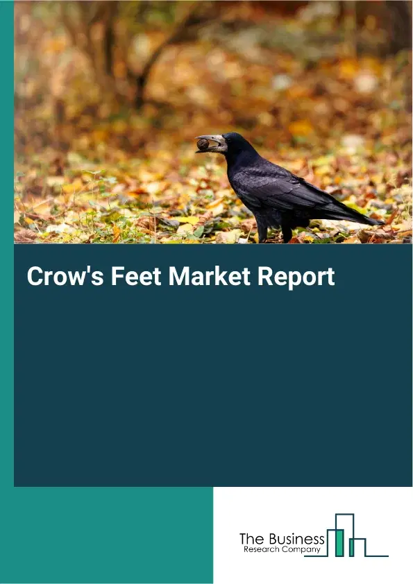 Global Crow's Feet Market Report 2026