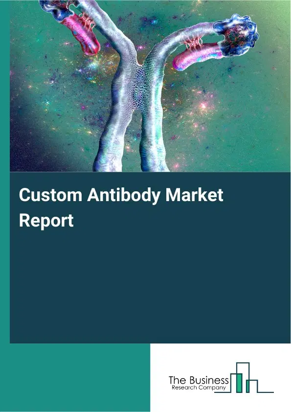 Global Custom Antibody Market Report 2026