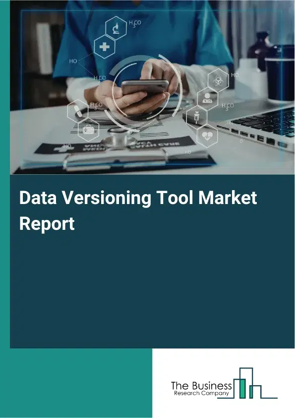 Global Data Versioning Tool Market Report 2026