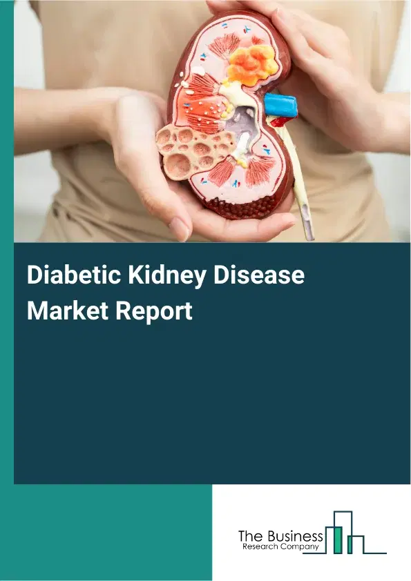Global Diabetic Kidney Disease Market Report 2026