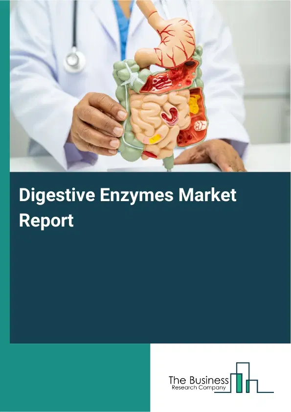Global Digestive Enzymes Market Report 2026