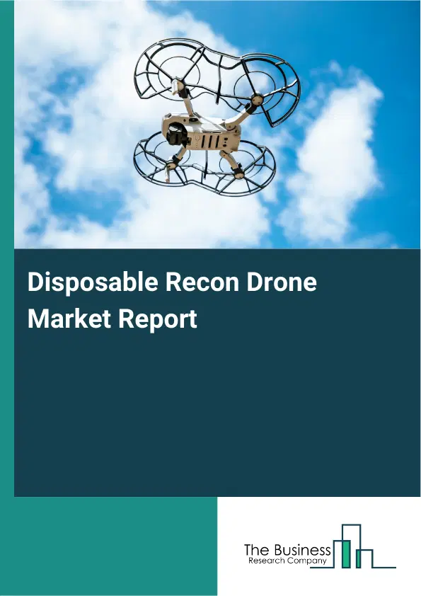 Global Disposable Recon Drone Market Report 2026
