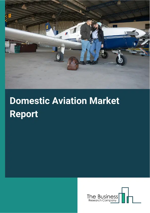 Global Domestic Aviation Market Report 2026