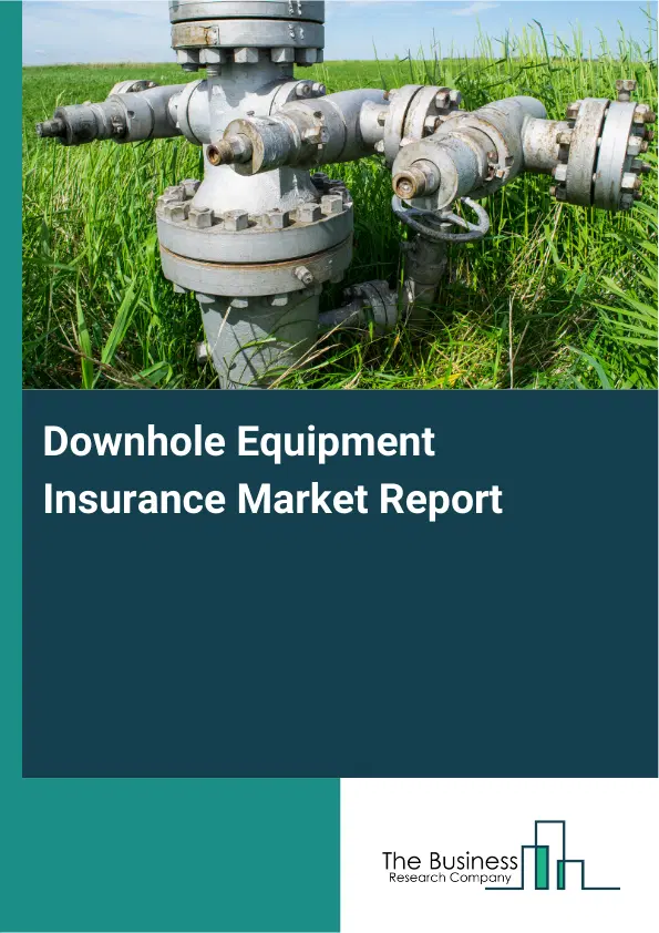 Global Downhole Equipment Insurance Market Report 2026
