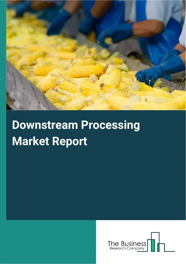 Global Downstream Processing Market Report 2026