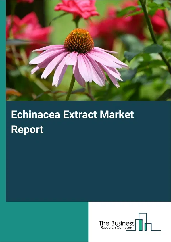 Global Echinacea Extract Market Report 2026
