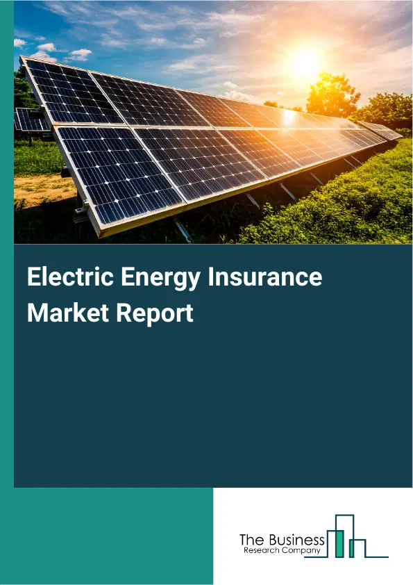 Global Electric Energy Insurance Market Report 2026