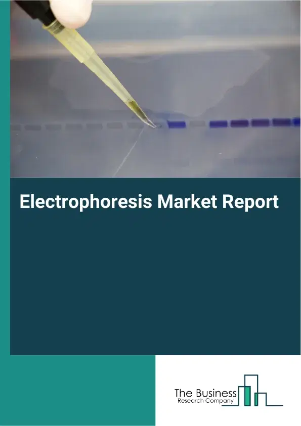 Global Electrophoresis Market Report 2026
