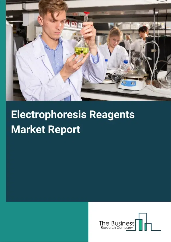 Global Electrophoresis Reagents Market Report 2026