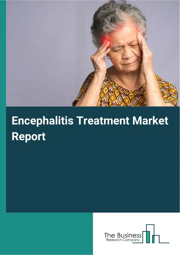 Global Encephalitis Treatment Market Report 2026