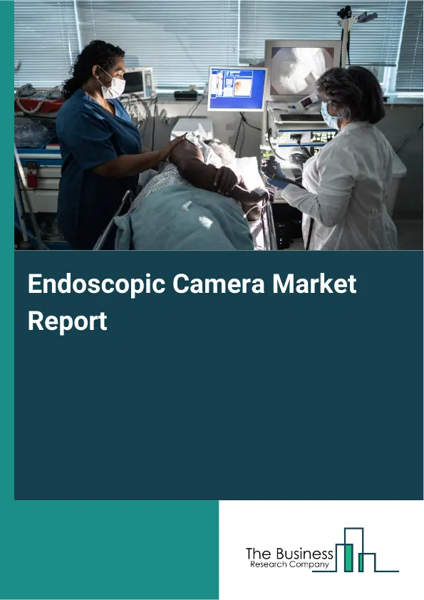 Global Endoscopic Camera Market Report 2026