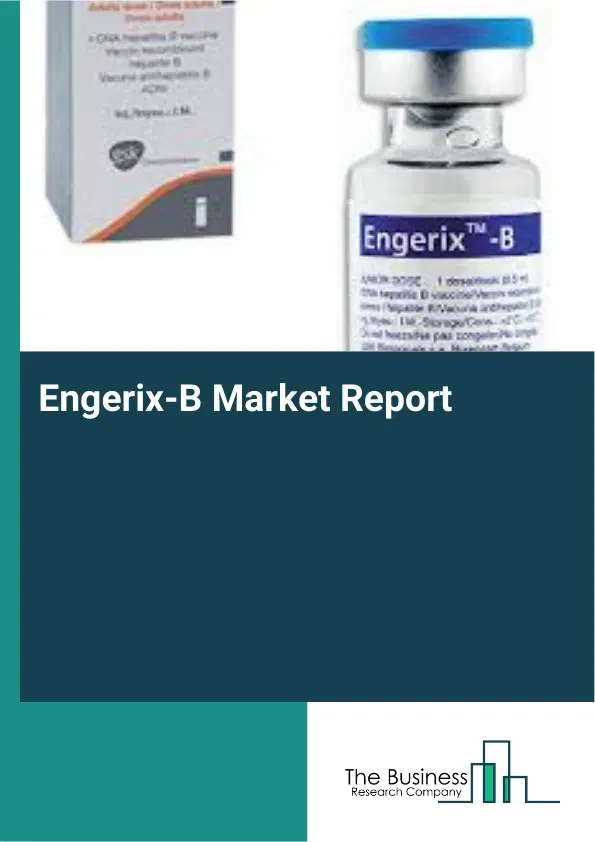 Global Engerix-B Market Report 2026