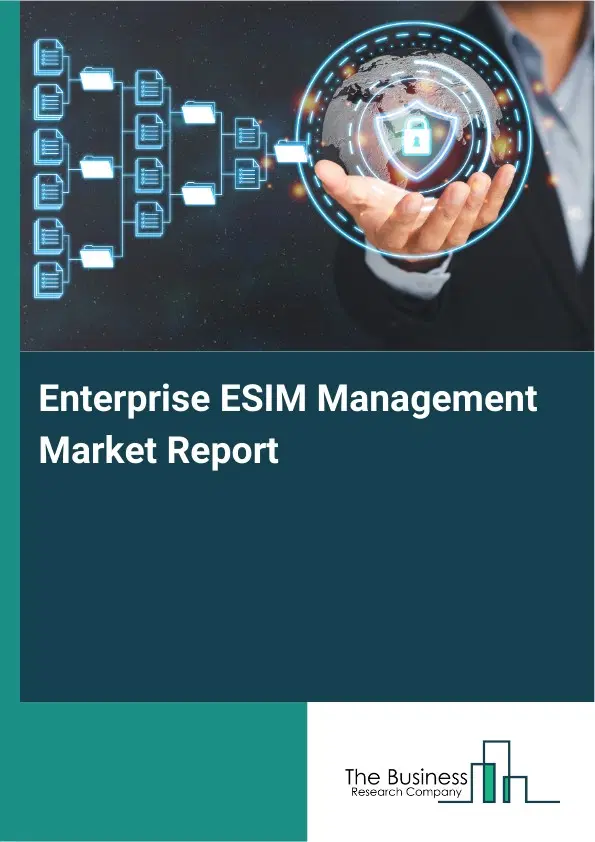 Global Enterprise ESIM Management Market Report 2026