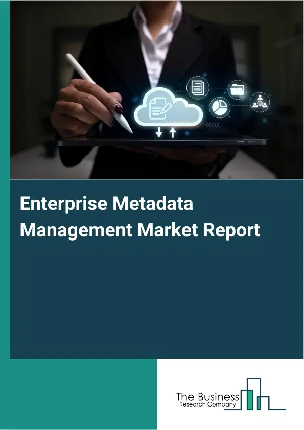 Global Enterprise Metadata Management Market Report 2026