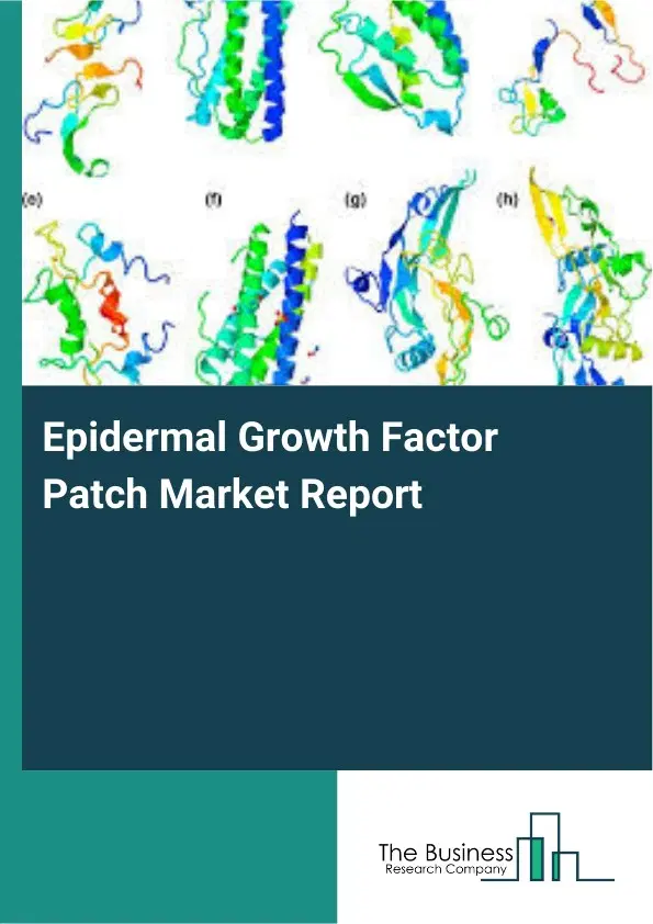 Global Epidermal Growth Factor Patch Market Report 2026