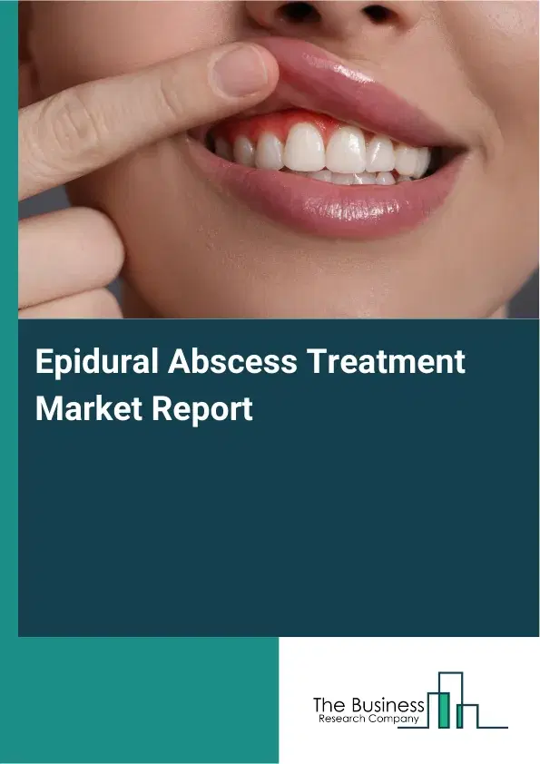 Global Epidural Abscess Treatment Market Report 2026