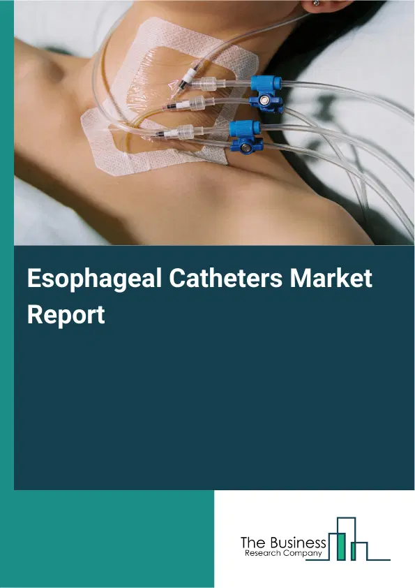 Global Esophageal Catheters Market Report 2026