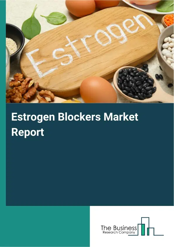 Global Estrogen Blockers Market Report 2026