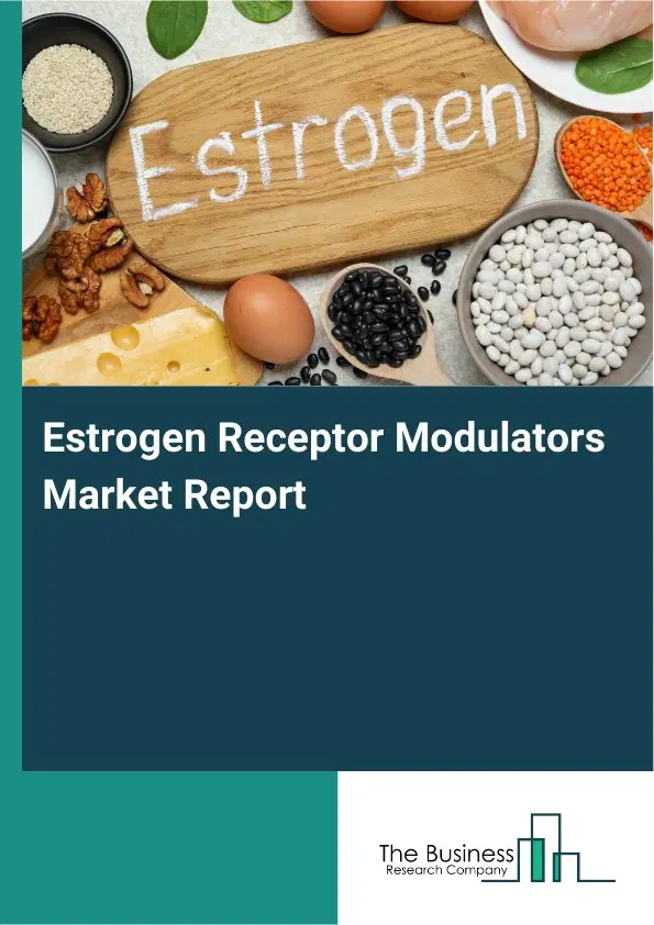 Global Estrogen Receptor Modulators Market Report 2026