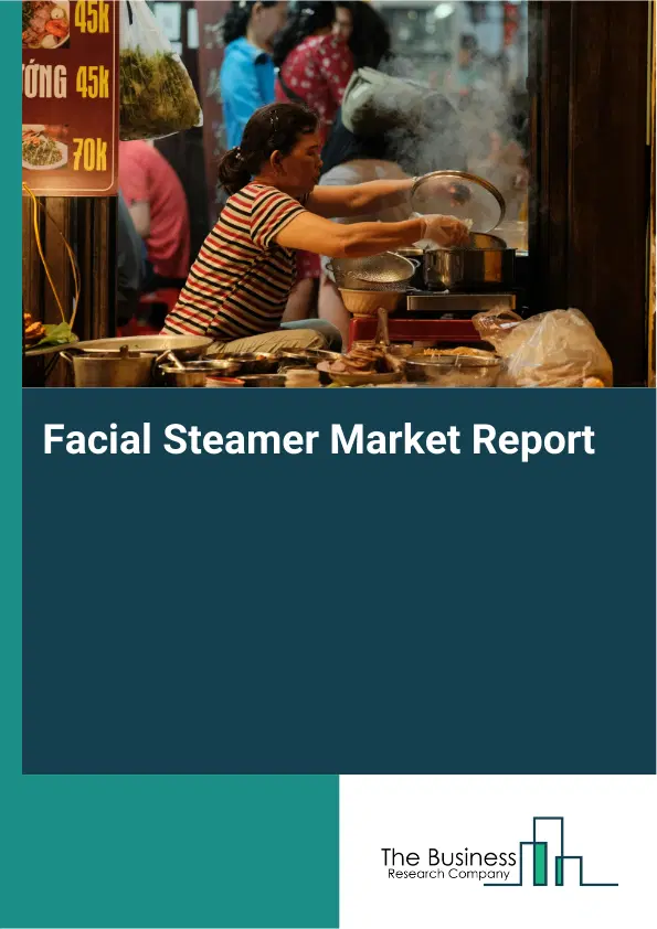 Global Facial Steamer Market Report 2026
