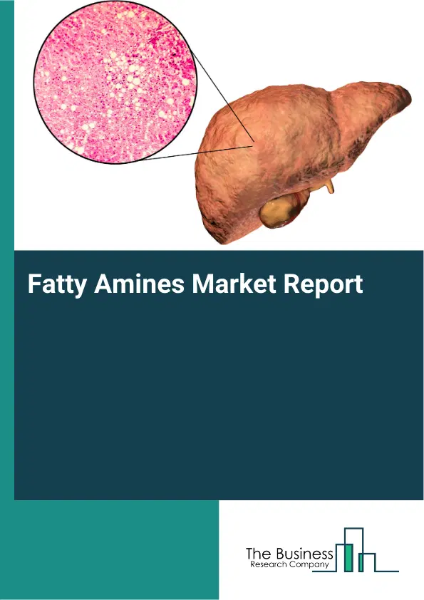 Global Fatty Amines Market Report 2026