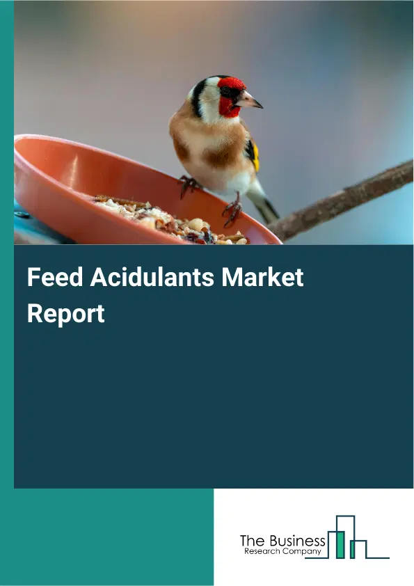 Global Feed Acidulants Market Report 2026