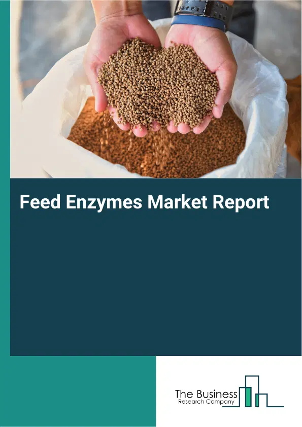 Global Feed Enzymes Market Report 2026