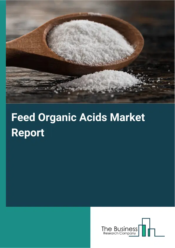Global Feed Organic Acids Market Report 2026