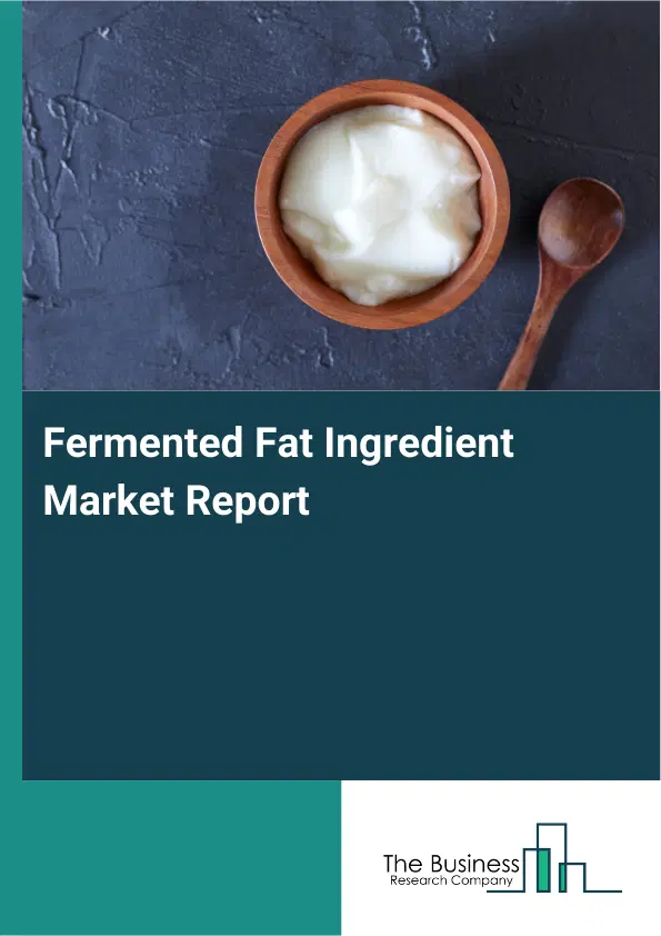 Global Fermented Fat Ingredient Market Report 2026